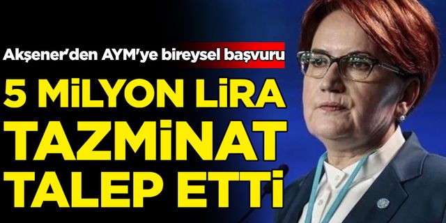 Akşener'den AYM'ye bireysel başvuru