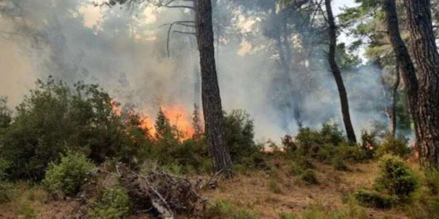 Konya'da orman yangını! Havadan müdahale için helikopter istendi