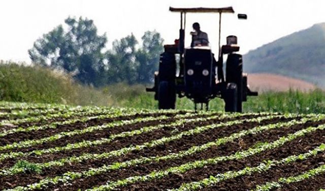 TÜİK: Tarımsal girdi fiyat endeksi kasımda arttı