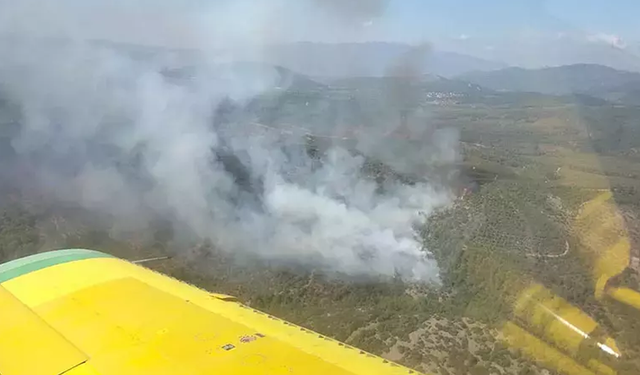 Manisa Salihli'deki orman yangını kontrol altına alındı