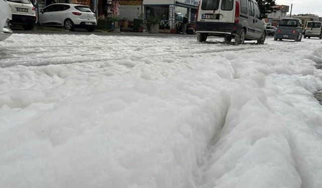 Bodrum'da beyaz köpüklü yol araştırılıyor