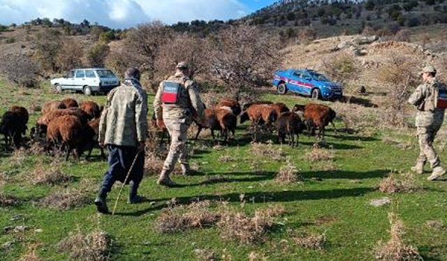 Jandarma, kaybolan küçükbaş hayvanları dronla buldu