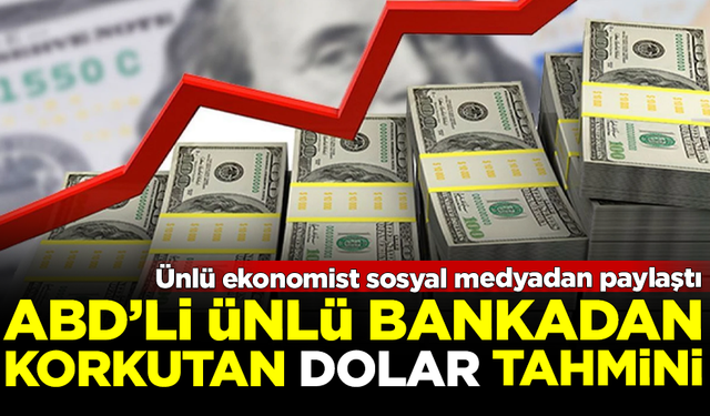 ABD'li ünlü bankadan, korkutan 'dolar' tahmini! Sosyal medyadan paylaştı