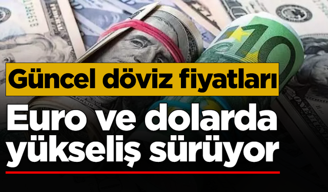 Euro ve dolarda yükseliş sürüyor