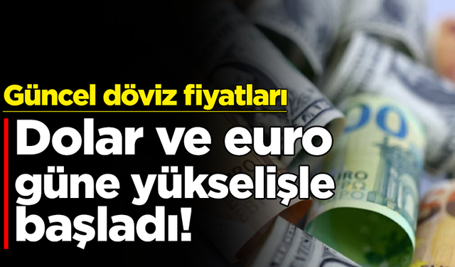 Dolar ve euro güne yükselişle başladı