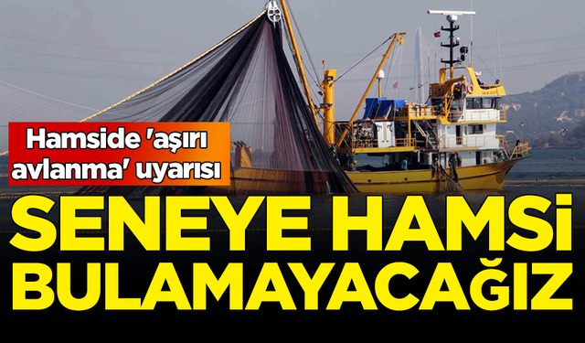 Hamside 'aşırı avlanma' uyarısı: Seneye hamsi bulamayacağız