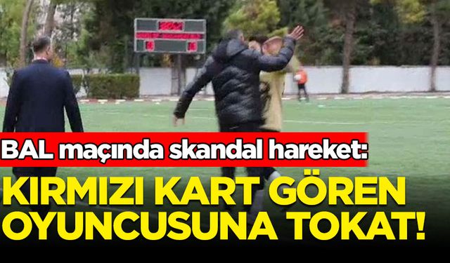 BAL maçında skandal hareket: Kırmızı kart gören oyuncusuna tokat attı