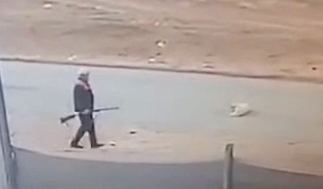 Sokak köpeğini tüfekle öldüren katil adli kontrolle serbest bırakıldı!