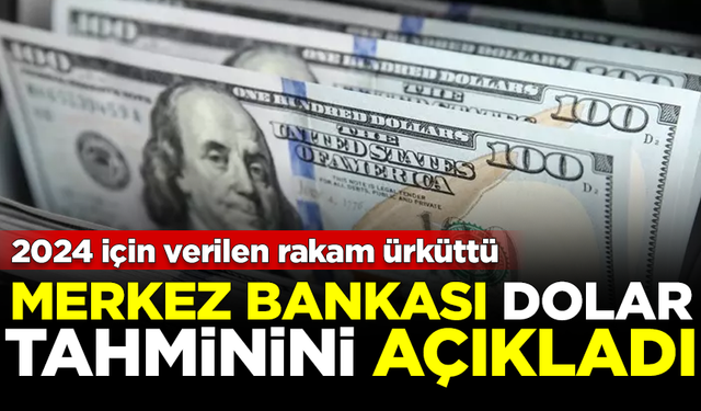 Merkez Bankası dolar tahminini açıkladı 2024 sonu rakamı ürküttü