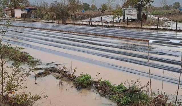 Çanakkale'yi sağanak vurdu! Evleri su bastı, tarlalar zarar gördü