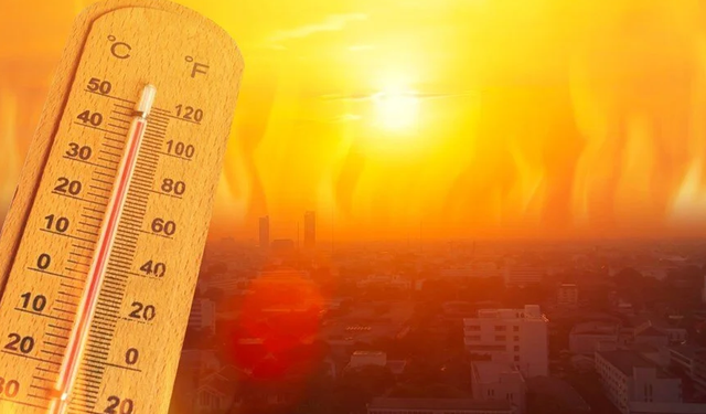 Hava Forum paylaştı: O ilimizde tüm zamanların sıcaklık rekoru kırıldı