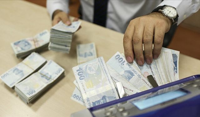 TL mevduat hesaplarının payı yüzde 38,5'e yükseldi