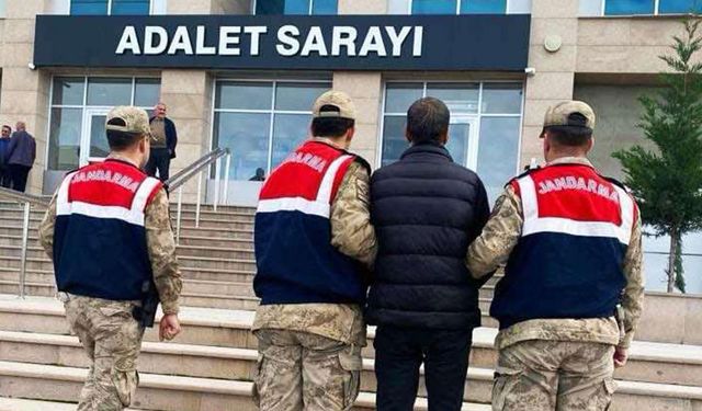 Van'da 114 kaçak göçmen yakalandı: 13 organizatör gözaltına alındı