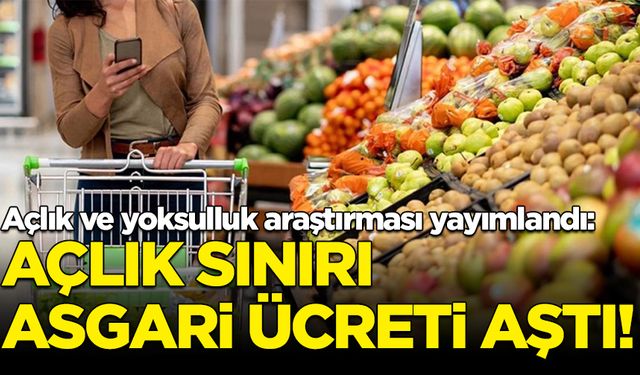 Açlık ve yoksulluk araştırması yayımlandı: Açlık sınırı asgari ücreti geçti