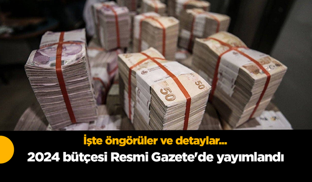 2024 bütçesi Resmi Gazete'de yayımlandı