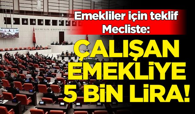 Çalışan emekliler için ikramiye teklifi Meclis'te