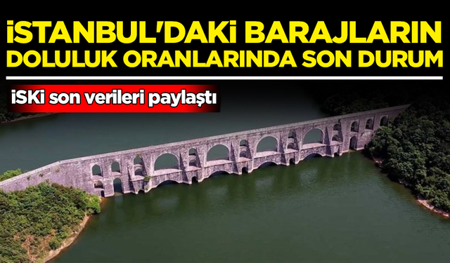 İstanbul'un barajlarının doluluk oranlarında son durum