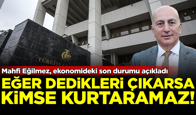 Mahfi Eğilmez ekonomide son durumu açıkladı! Eğer dedikleri çıkarsa...