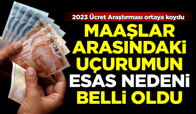 Türkiye'de maaşlar arasındaki uçurumun esas nedeni belli oldu