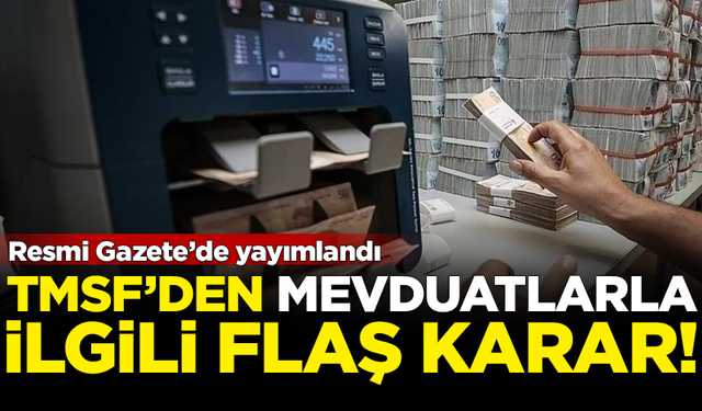 TMSF'den mevduatlarla ilgili flaş karar! Resmi Gazete'de yayımlandı