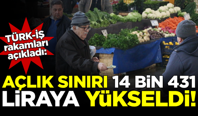 TÜRK-İŞ rakamları açıkladı: Açlık sınırı, 14 bin 431 liraya yükseldi