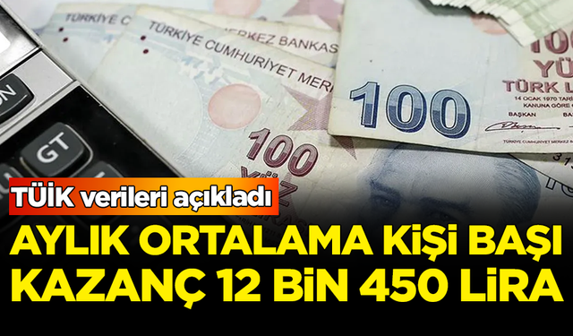 TÜİK verileri açıkladı: Aylık ortalama kişi başı kazanç 12 bin 450 lira