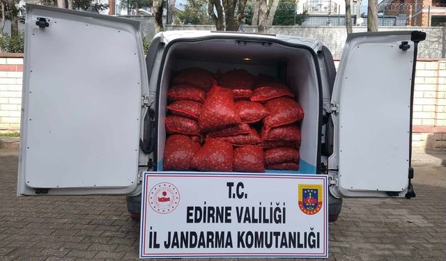 Edirne'de 1 ton kaçak kum midyesi ele geçirildi