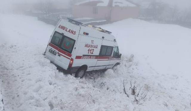 Bingöl'de ambulans şarampole yuvarlandı: 6 yaralı