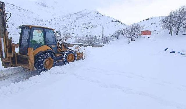 Türkü evinde kadın cinayeti! Kabloyla boğarak öldürdü