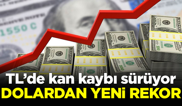 Dolardan yeni rekor geldi! TL'de kan kaybı sürüyor