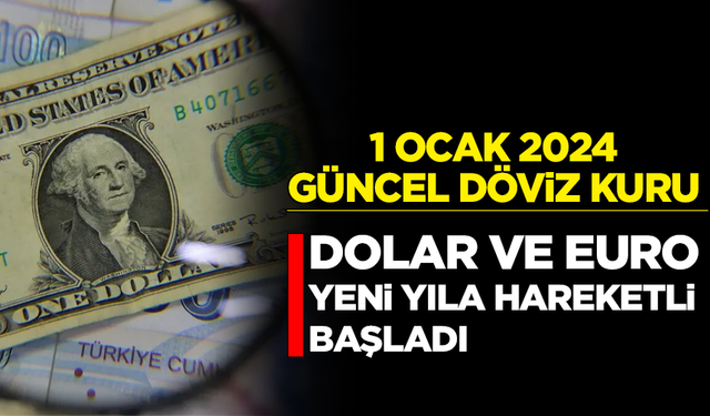 Dolar ve euro yeni yıla hareketli başladı