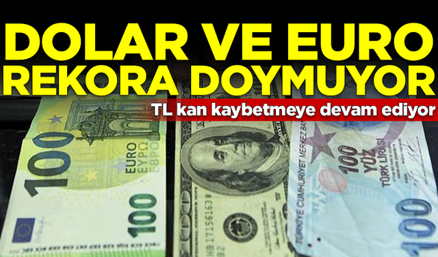 Dolar ve Euro'dan yeni rekor! TL kan kaybetmeye devam ediyor