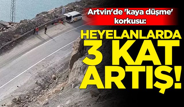 Artvin'de 'kaya düşme' korkusu