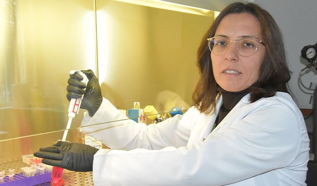 Türk profesörden kanser hücrelerinin yayılmasını önleyecek çalışma: patentini aldı