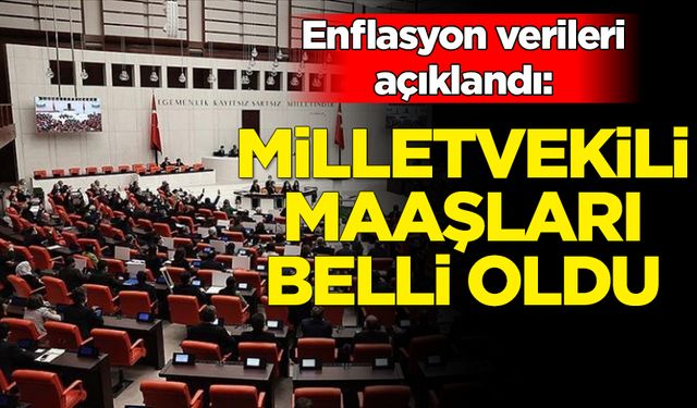 Enflasyon verileri açıklandı: Milletvekili maaşları belli oldu