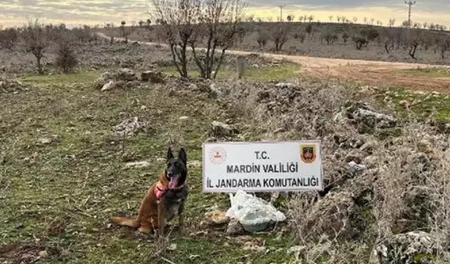 Mardin'de PKK'nın tuzakladığı el yapımı patlayıcı imha edildi