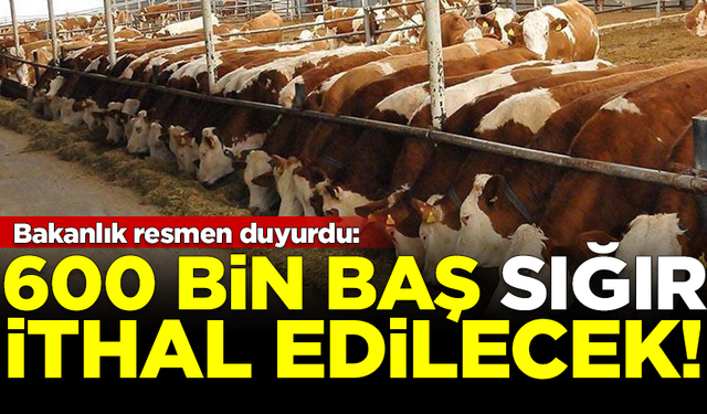 Tarım ve Orman Bakanlığı resmen duyurdu: 600 bin sığır ithal edilecek