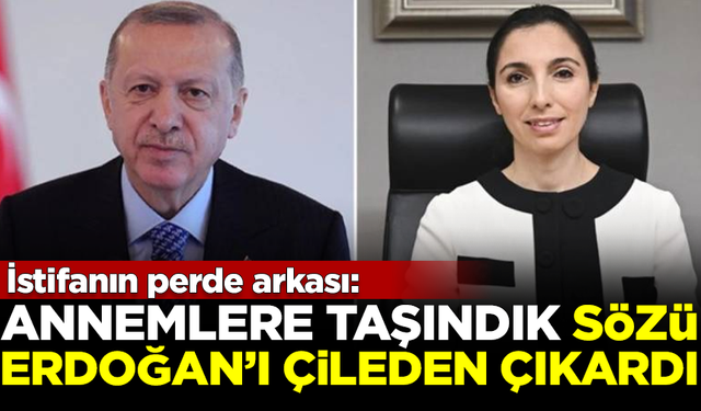 İşte istifanın perde arkası! 'Annemlere taşındık' sözü, Erdoğan'ı çileden çıkardı