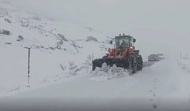 Siirt-Şırnak Karayolu'nda mahsur kalan 25 araç kurtarıldı