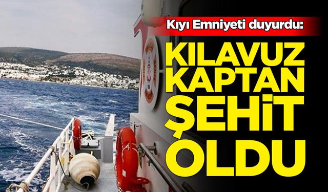 Denize düşen kılavuz kaptan hayatını kaybetti