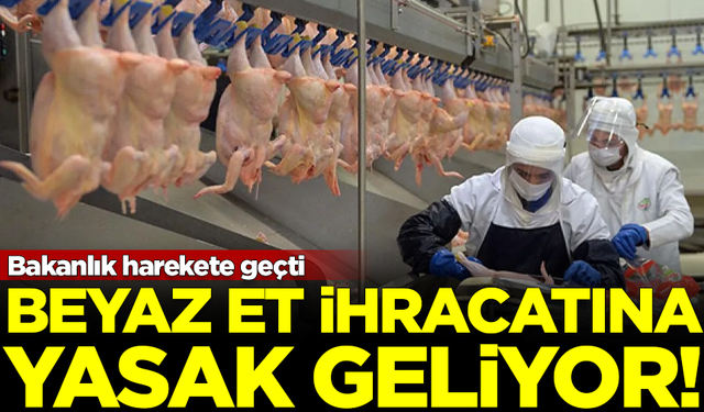Ticaret Bakanlığı harekete geçti! Beyaz et ihracatı yasaklanıyor