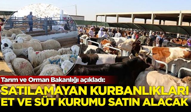 Kurban pazarlarında satılamayan kurbanlıkları Et ve Süt Kurumu satın alacak