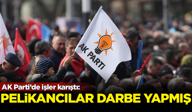 AK Parti'de işler karıştı! Pelikancılarla birlikte darbe yapmışlar