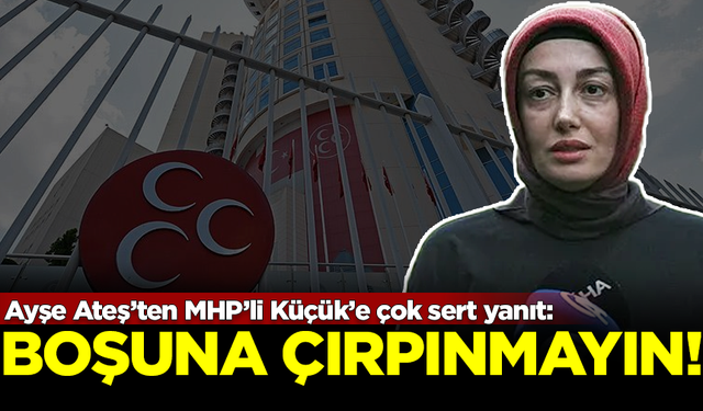 Ayşe Ateş'ten MHP'li Musa Küçük'e çok sert yanıt: Boşuna çırpınmayın!