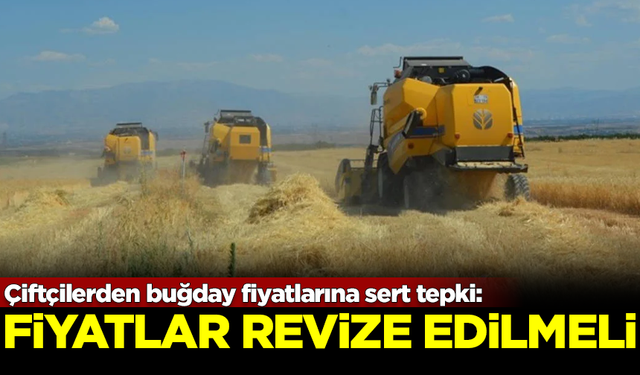 Çiftçilerden buğday alım fiyatına sert tepki: Fiyatlar revize edilmeli