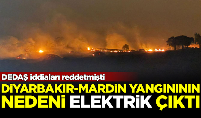 DEDAŞ reddetmişti... Diyarbakır-Mardin yangının nedeni elektrik çıktı