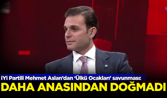 İYİ Partili Mehmet Aslan'dan 'Ülkü Ocakları' savunması: Daha anasından doğmadı