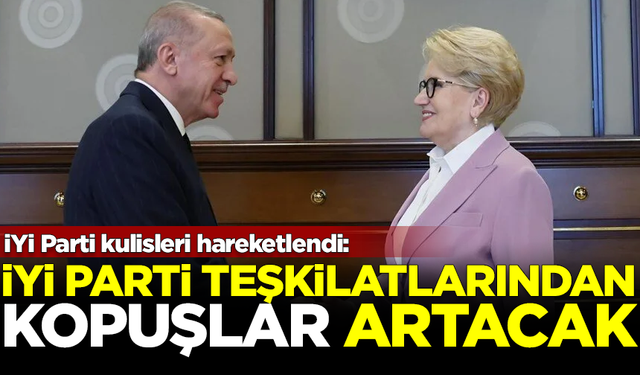 Erdoğan-Akşener zirvesi sonrası İYİ Parti hareketlendi: Teşkilatlardan kopuşlar artacak