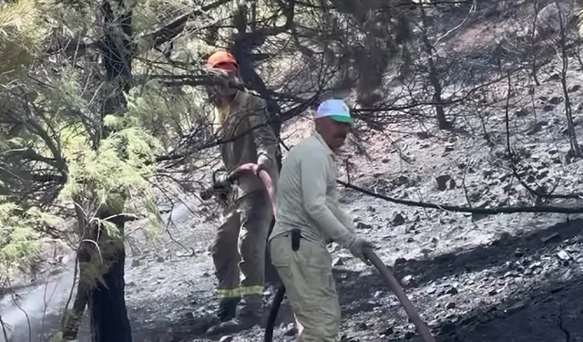 İzmir ve Manisa'da ilk 6 ay içinde 45 orman ve kırsal yangını çıktı