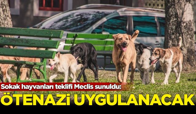 Sokak hayvanları teklifi Meclis sunuldu: Ötenazi uygulanacak